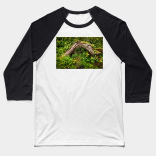 Forest floor, Pacific Rim National Park Baseball T-Shirt